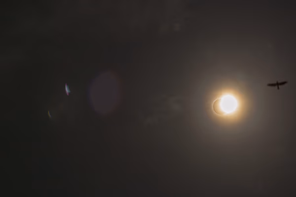 American Solar Eclipse 2024 with Eagle