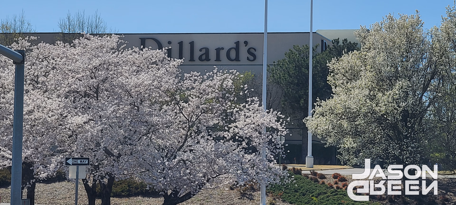 Dillard's in Bloom