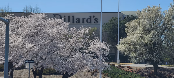 Dillard's in Bloom