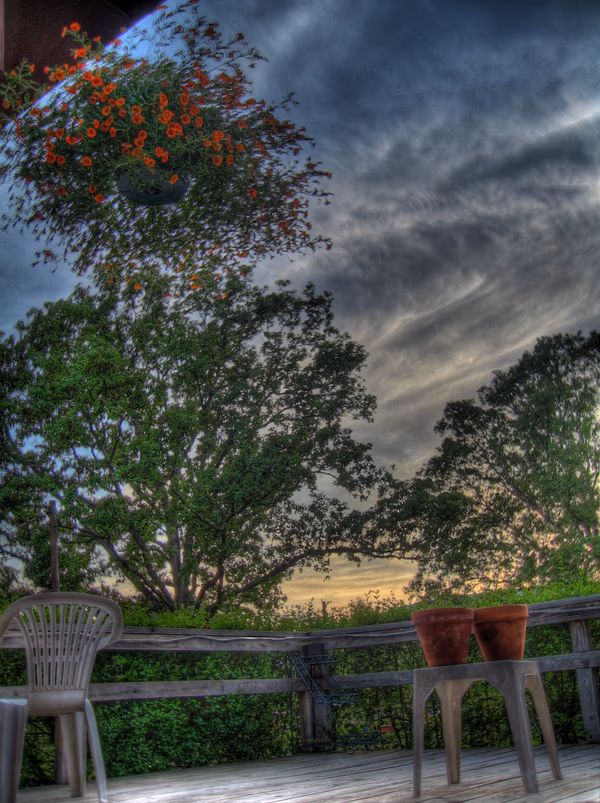 First HDR Photo of Sky and Flowers 2006