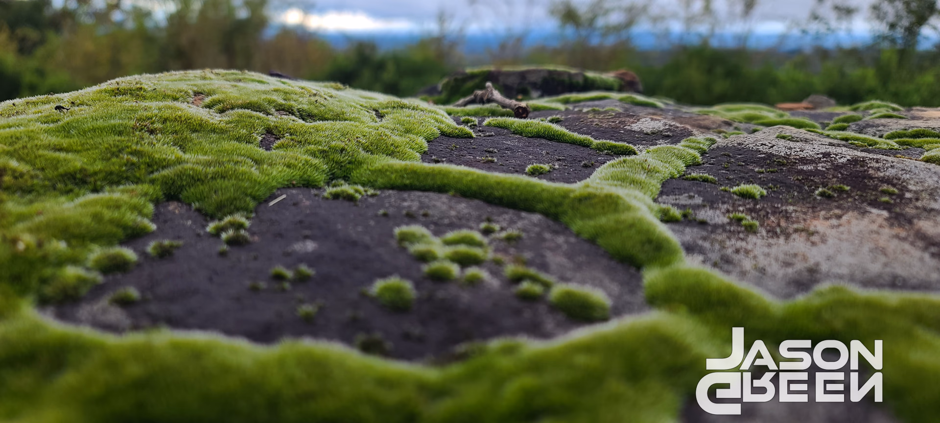 Mossy Rock