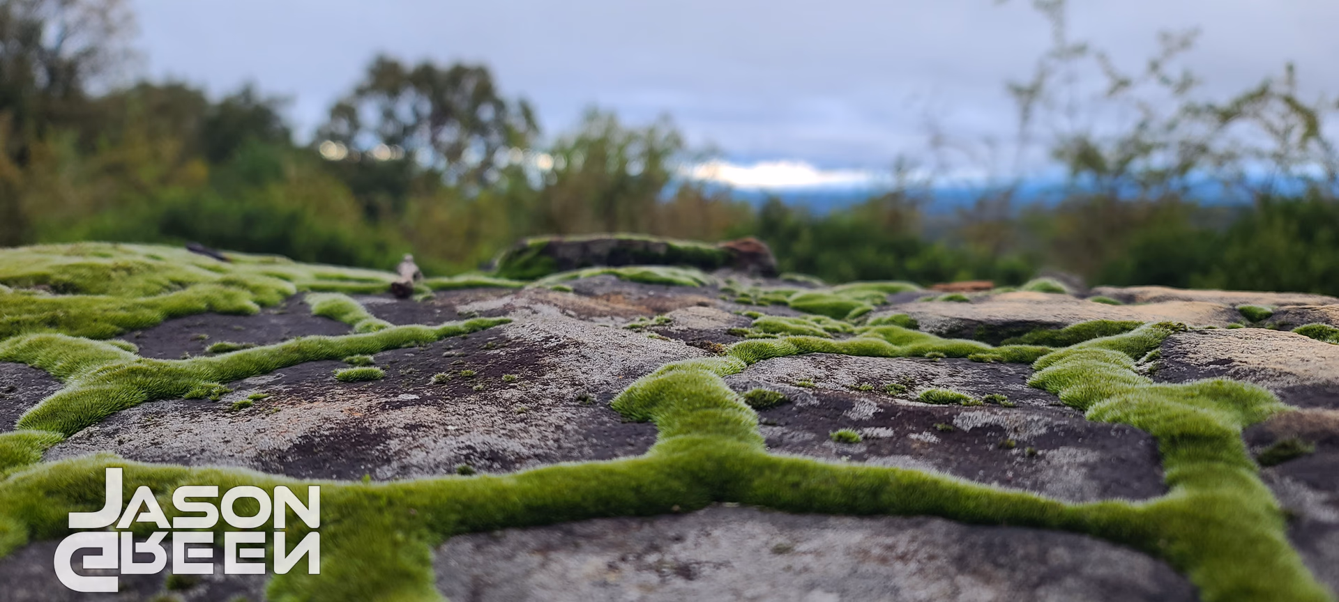Rock Moss