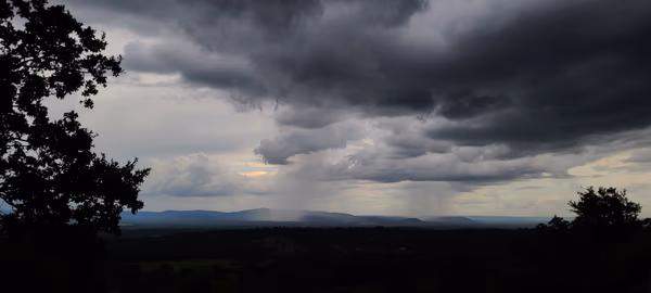 Scattered Showers