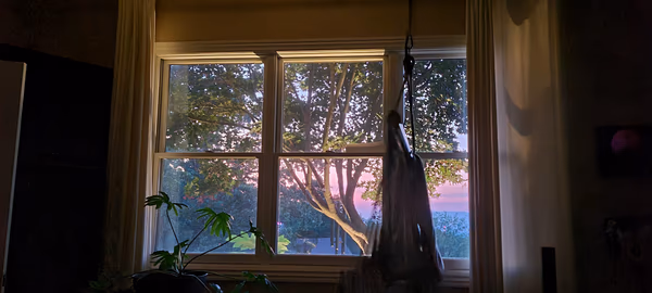 The Dynamic Window
