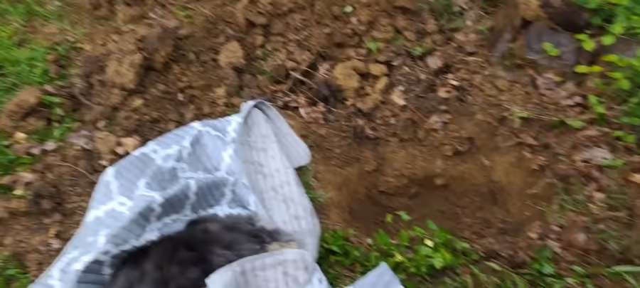 Animated photo looking down at a grey patterned blanket wrapped around a dog, laid on the grass beside a freshly dug hole and a pile of turned soil, under a tree.