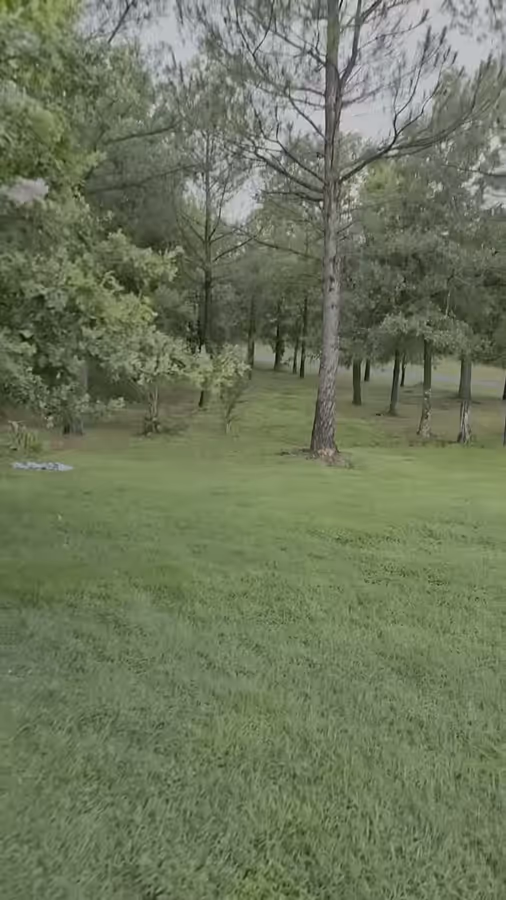 Thirty-five seconds of video walking from a tiled entryway out across the lawn toward a stand of tall pines in the evening light.
