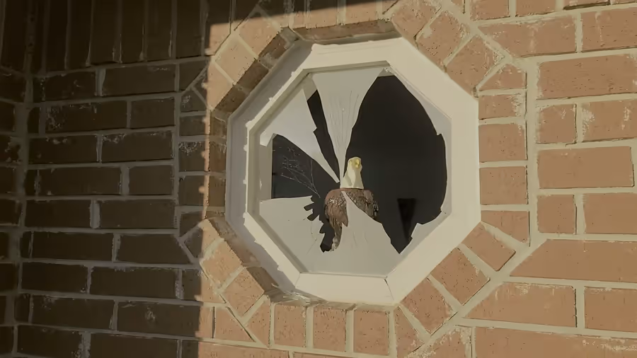 Seven seconds of video of an octagonal window set in a red brick wall, most of the glass blown out, a bald eagle figurine visible on the sill inside.