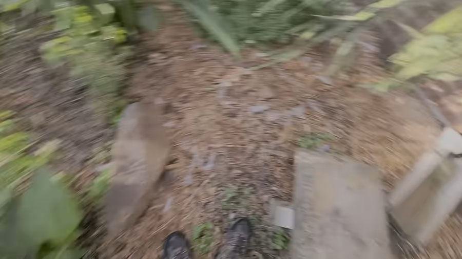 Short video looking down at a mulched flower bed and stepping stones below the window, broken glass scattered across the mulch.