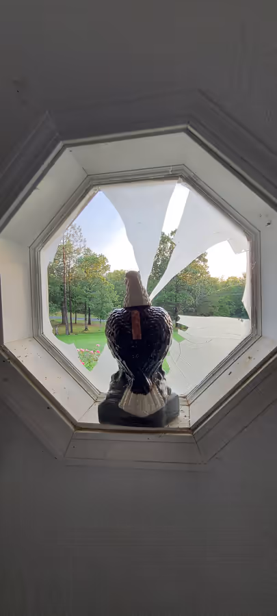 Interior view through the shattered octagonal window: a bald eagle figurine silhouetted on the sill, cracked glass radiating around it, and the lawn and pines outside.